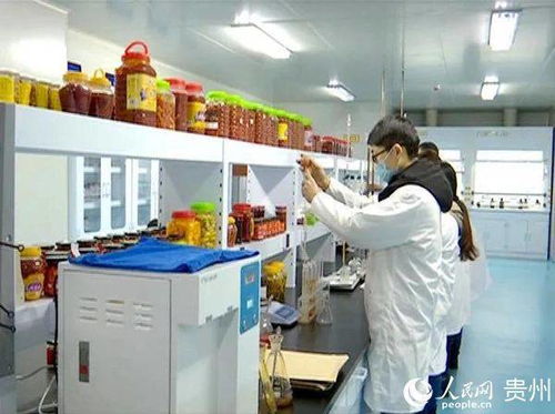 遵义新蒲 校企携手打造 辣椒加工贸易集聚区